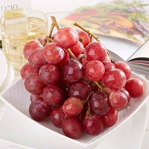 爱游戏官方入口产品名称五